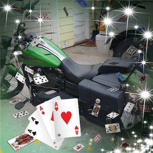 Meet your Posher, Lavonne